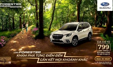 Giá xe Subaru mới nhất và khuyến mãi tháng 7/2025 : Forester, Outback, Crosstrek, BRZ, WRX